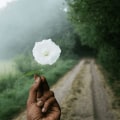 Biblical Teachings on Loving Others: Understanding God's Love and Grace