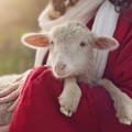 Understanding Psalm 23: The Lord is my Shepherd